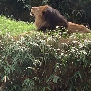 Meet your Posher, Avril